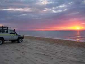 4WD Tracks Near The Sunshine Coast