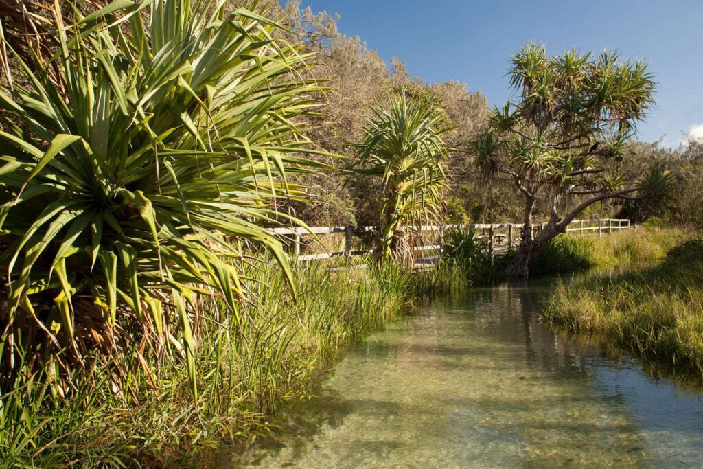 Eli Creek