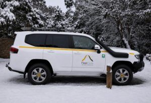 LandCruiser 300 Series parked in the snow